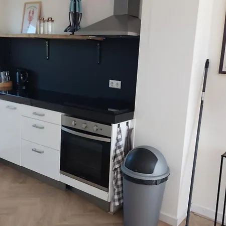 Vakantiewoning Aan De Loosdrechtse Plassen 度假居 鲁斯德雷赫特