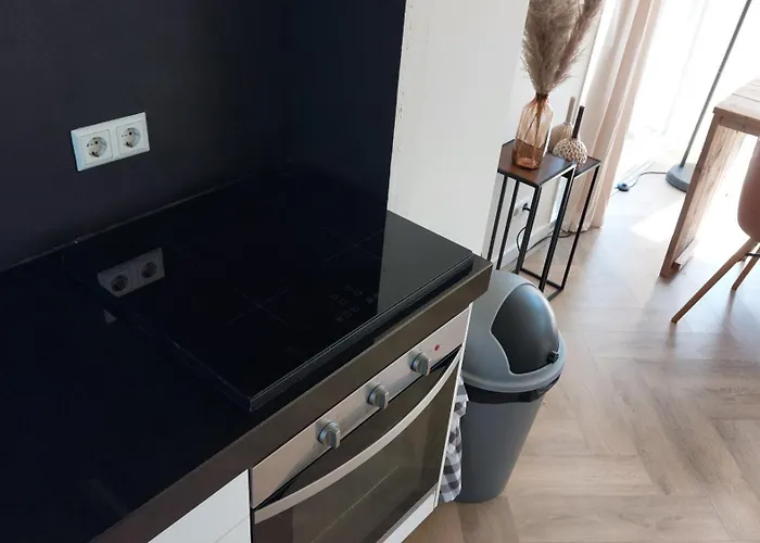 Vakantiewoning Aan De Loosdrechtse Plassen 鲁斯德雷赫特