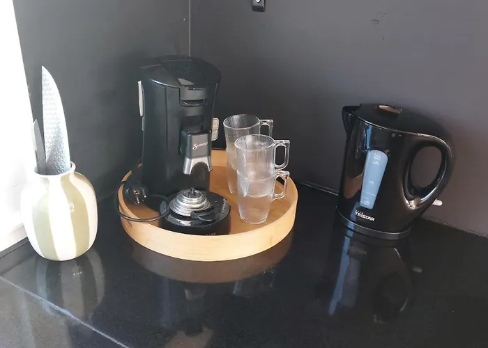 Vakantiewoning Aan De Loosdrechtse Plassen Nyaraló Loosdrecht